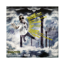 B.o.B Presents: The Adventures of Bobby Ray (Colored 2xLP)