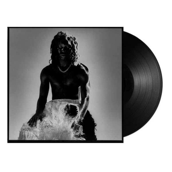 Shadowbox Vinyl record with a black and white album cover featuring a Mavi on a rock.