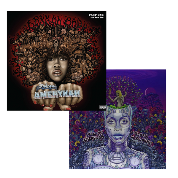 New Amerykah Parts 1 & 2 (4xLP Vinyl Bundle)