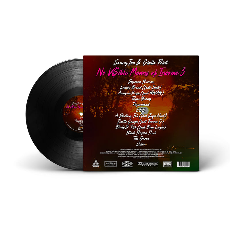 No Vi$ible Means of Income 3 (LP)