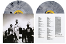 The Pillage : 25th Anniversary (Colored 2xLP w/OBI)