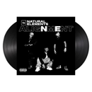 Alignment (2xLP)