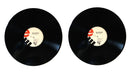 When Disaster Strikes... (2xLP)