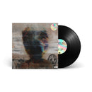 The Hidden Painting (LP)