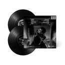 The Course Of The Inevitable (2xLP)